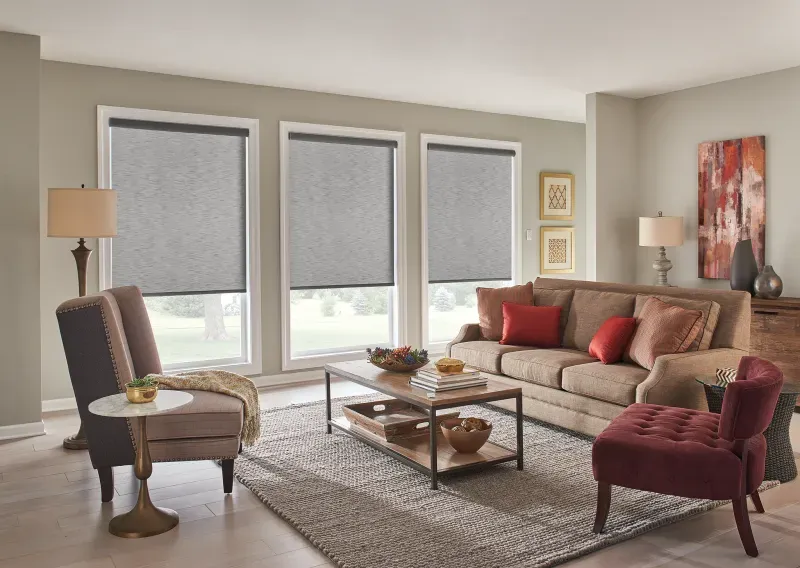 Elegant Living Room – Blackout Roller Shades